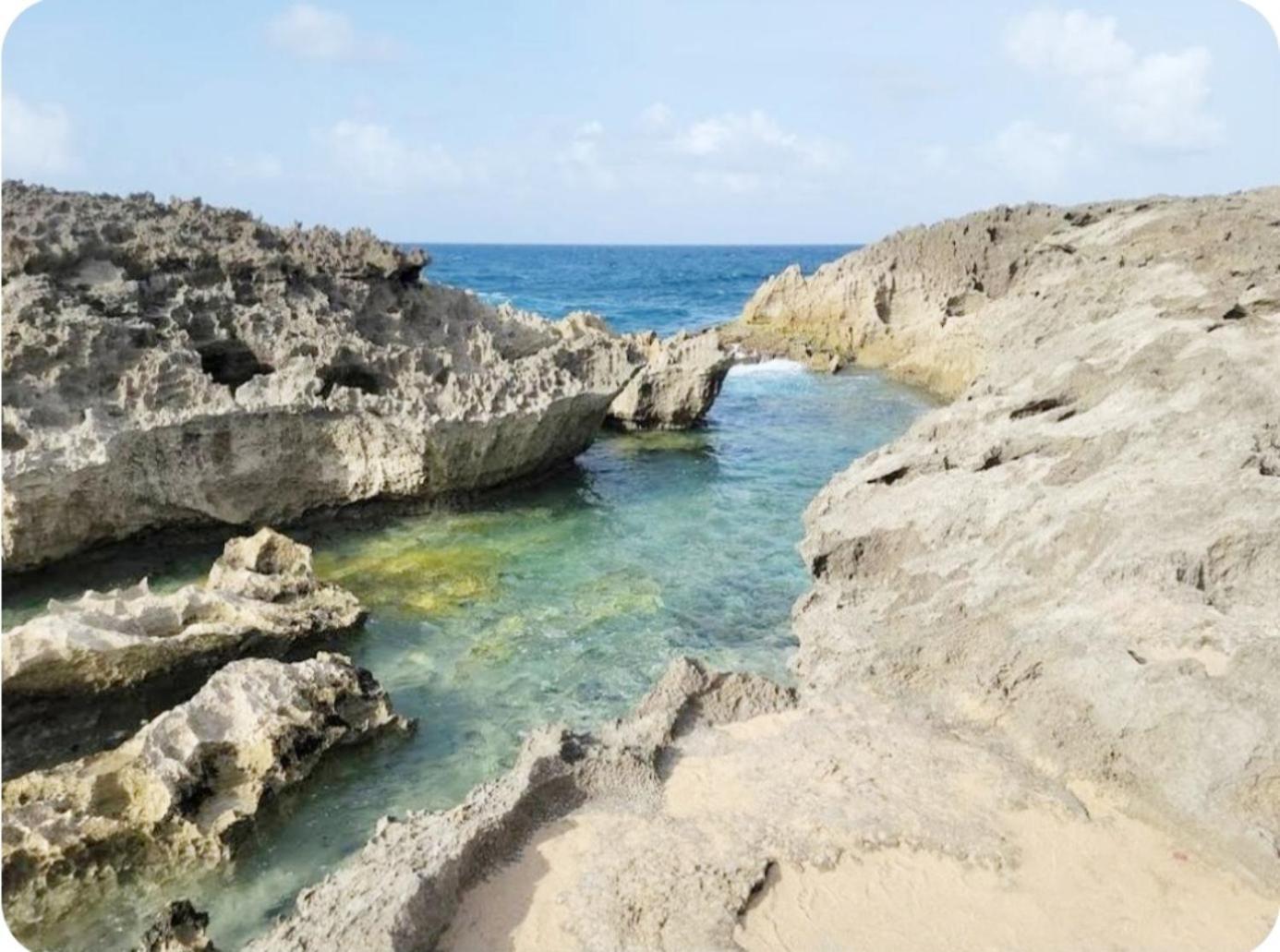 Casa Palmera Vega Baja Exteriör bild
