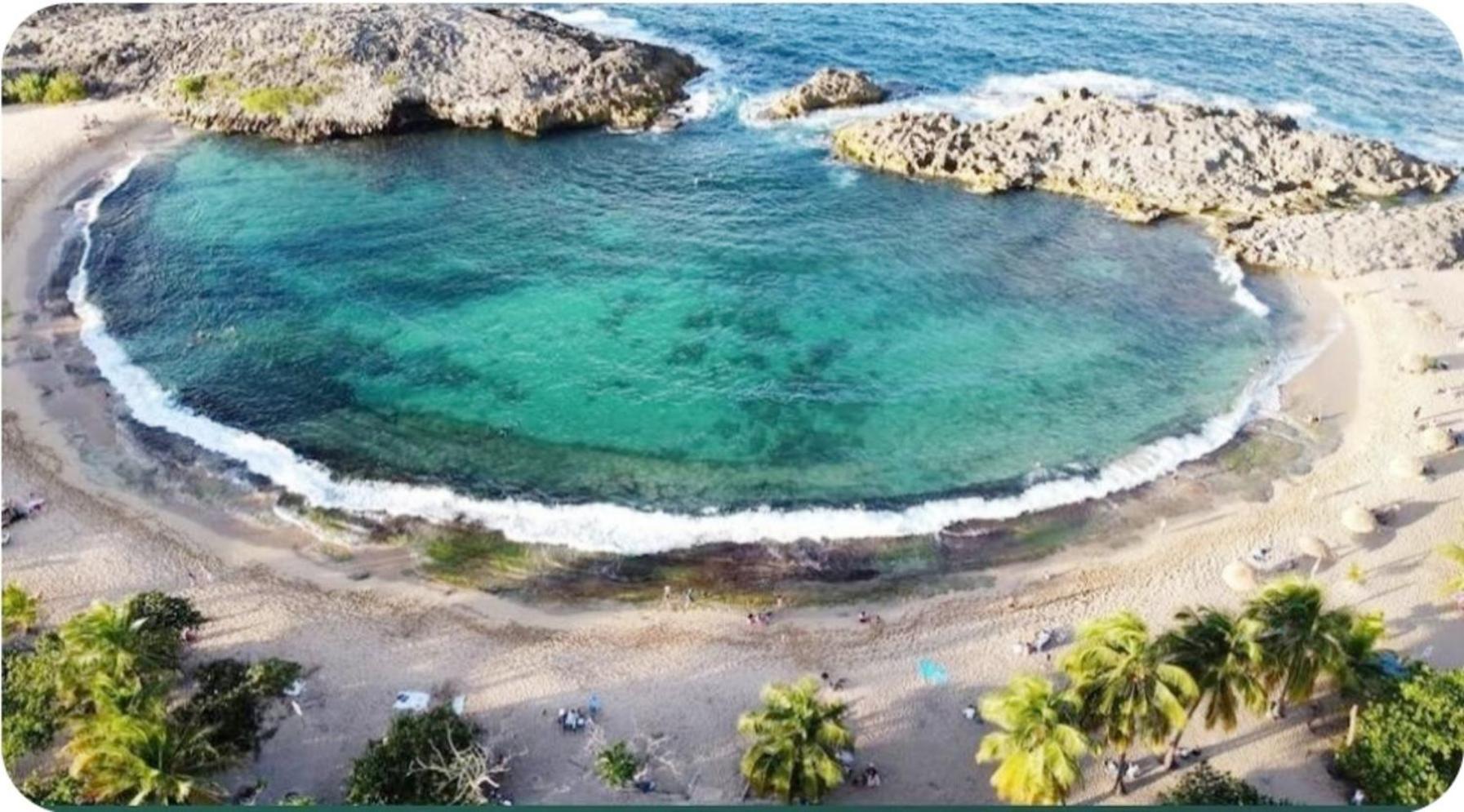 Casa Palmera Vega Baja Exteriör bild