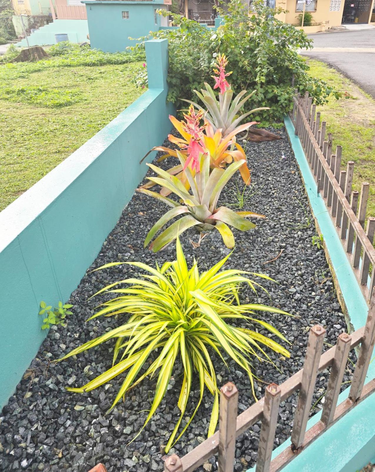 Casa Palmera Vega Baja Exteriör bild